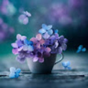 Meet your Posher, Kailin